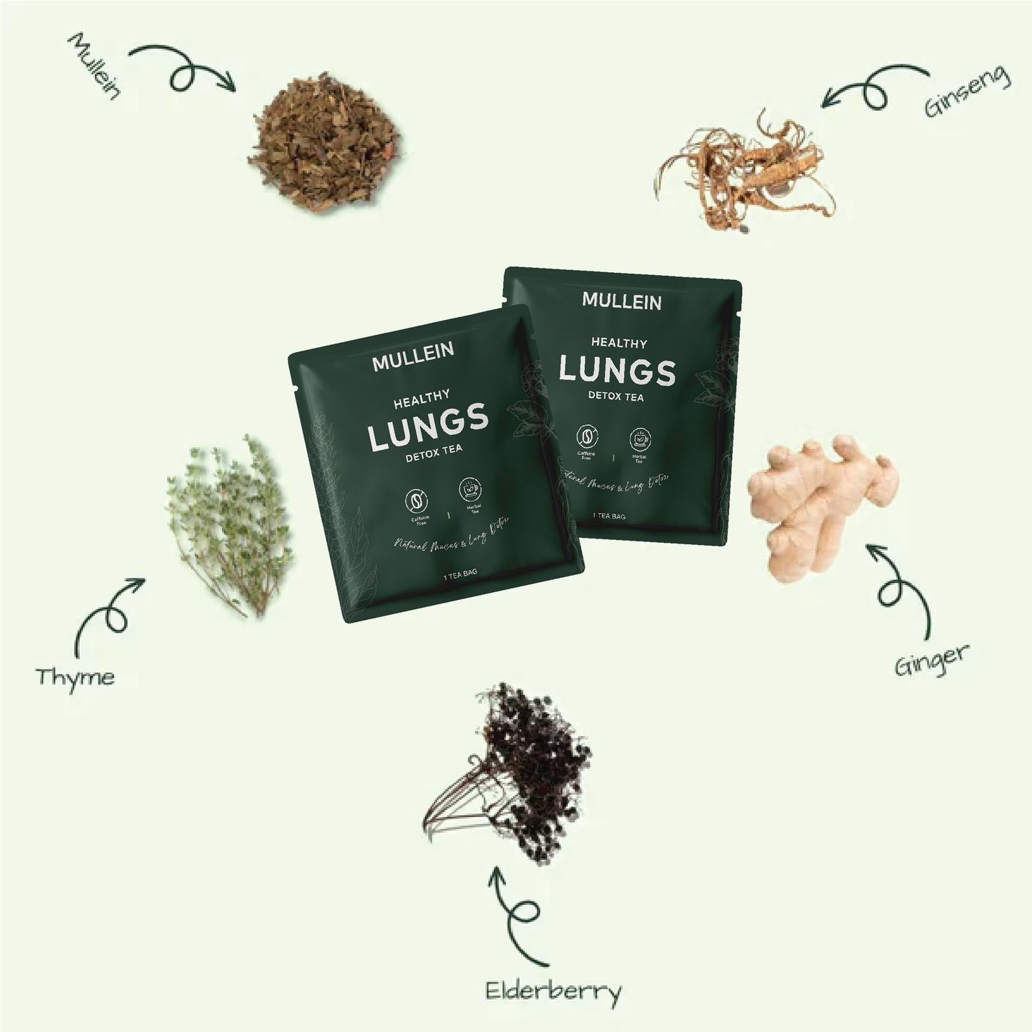 Té de gordolobo