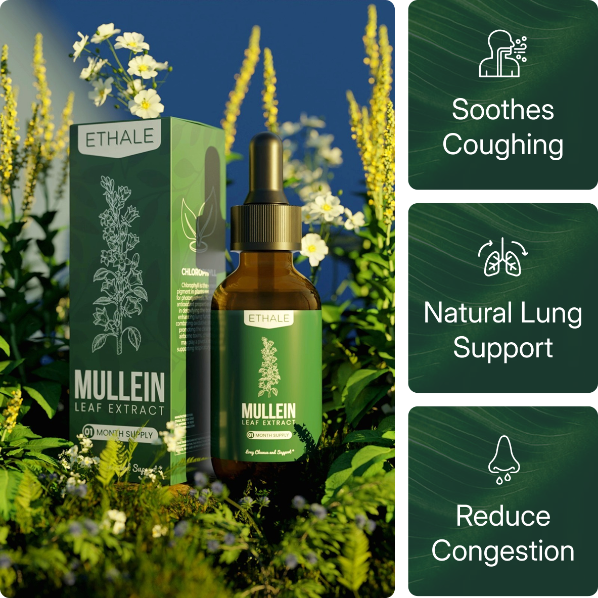 Mullein + Chlorophyll Lung Drops
