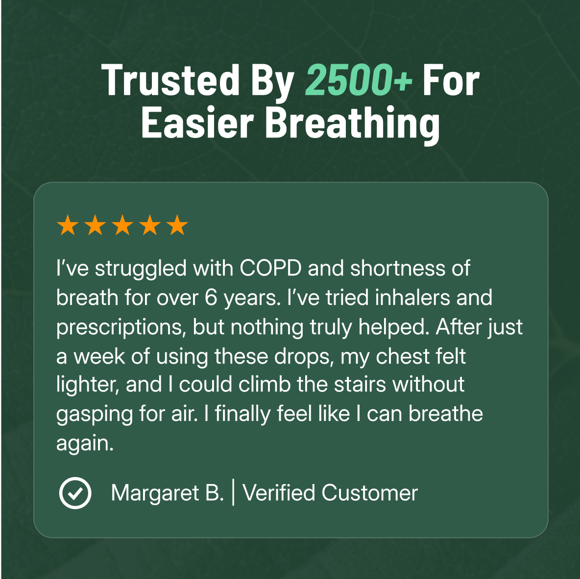 Mullein + Chlorophyll Lung Drops