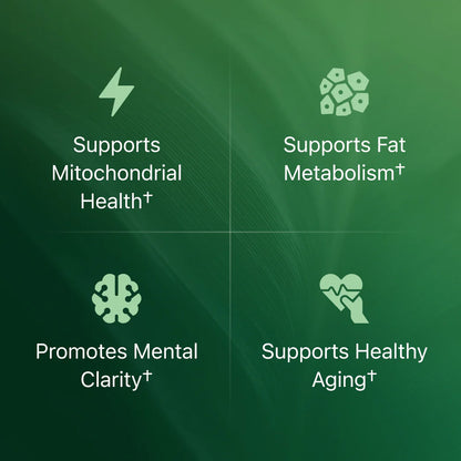 Amla Superfood Capsules