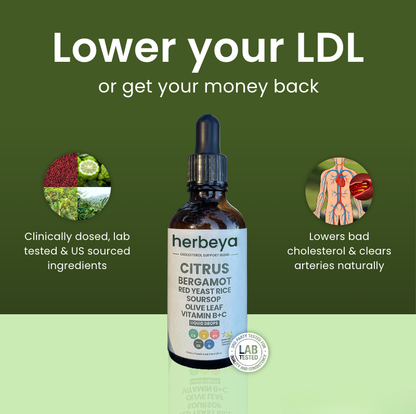 Red Yeast Rice Cholesterol Cleanse